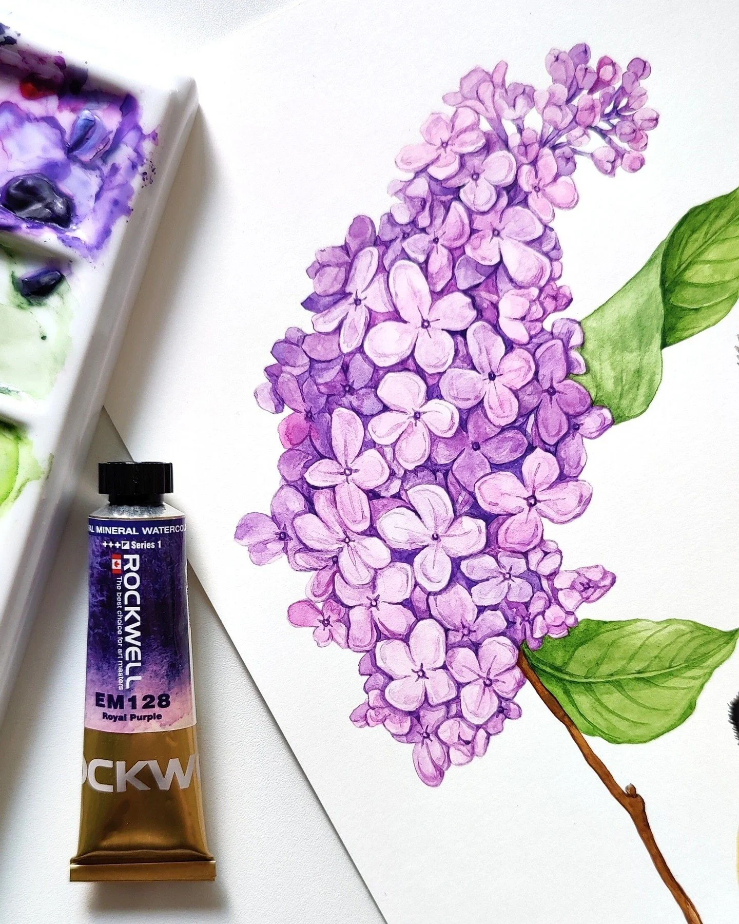 Happy Friday!

#botanicalillustration #bookillustration #watercolorillustration #illustratorforhire #publishingillustration