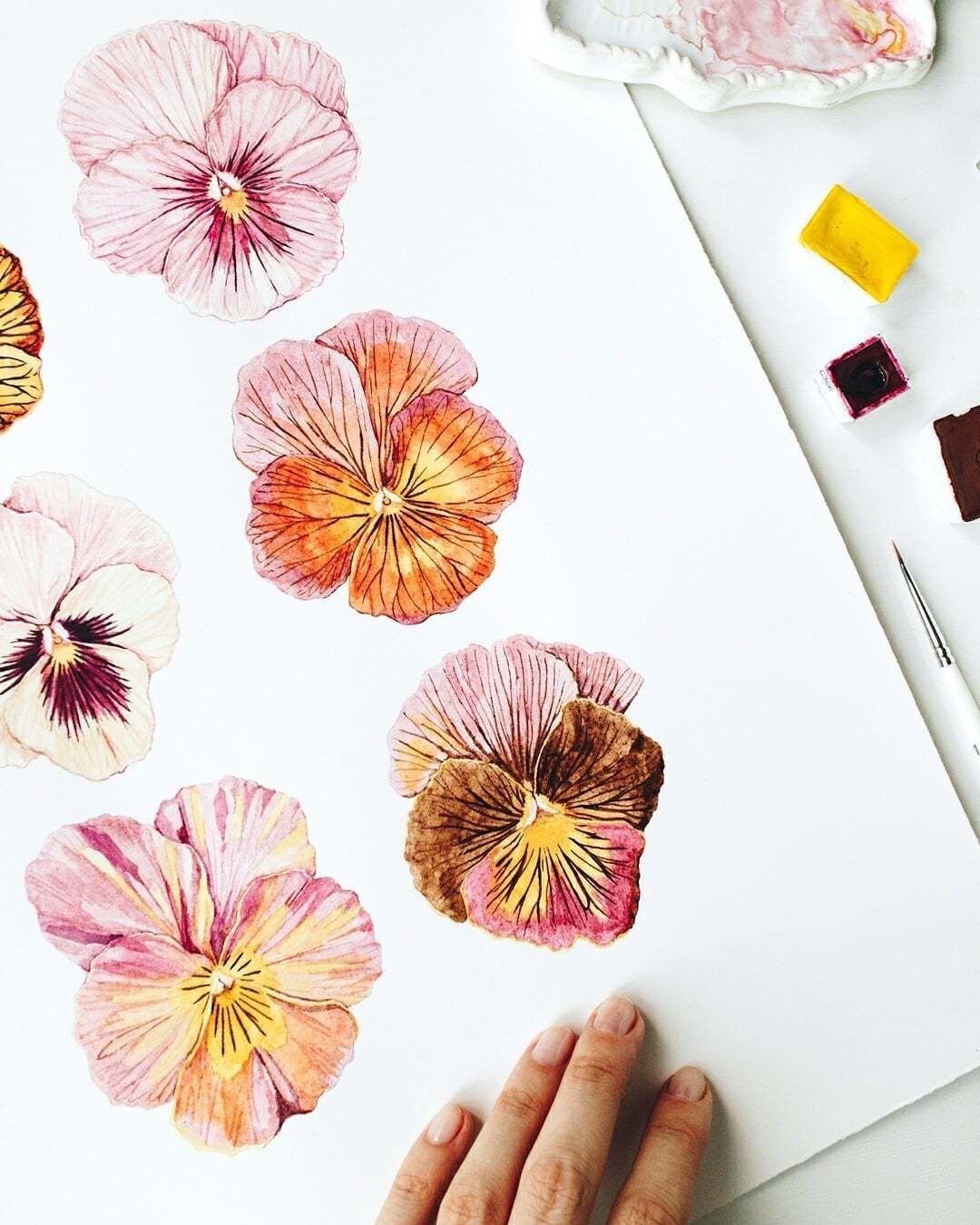 The process behind this pansy painting.
I started with a few sketches and color studies, then built up the watercolor in layers until the flowers felt finished. 

Pansies are one of my favorite flowers to paint because there are so many different col