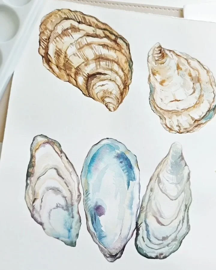 Packaging Illustration for Bold Coast Spirits: Hand-painted oyster shell illustrations for a coastal spirits packaging project inspired by Atlantic oysters.

Created for bottle labels and brand storytelling, the illustrations were designed to evoke c