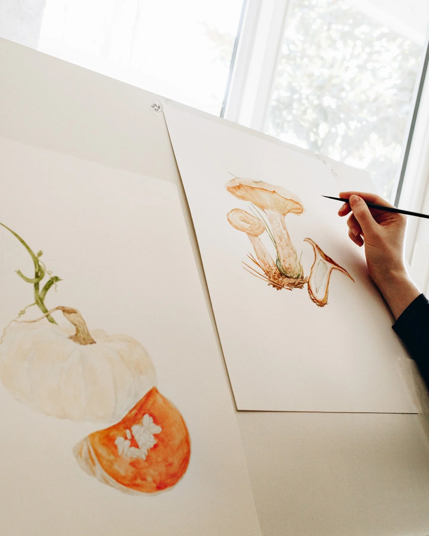 One of the tricky things about illustrating books is that I often can't share what I'm working on for months, usually until the book is published. A lot of time goes into each project before the finished illustrations ever make it onto a book page. 
