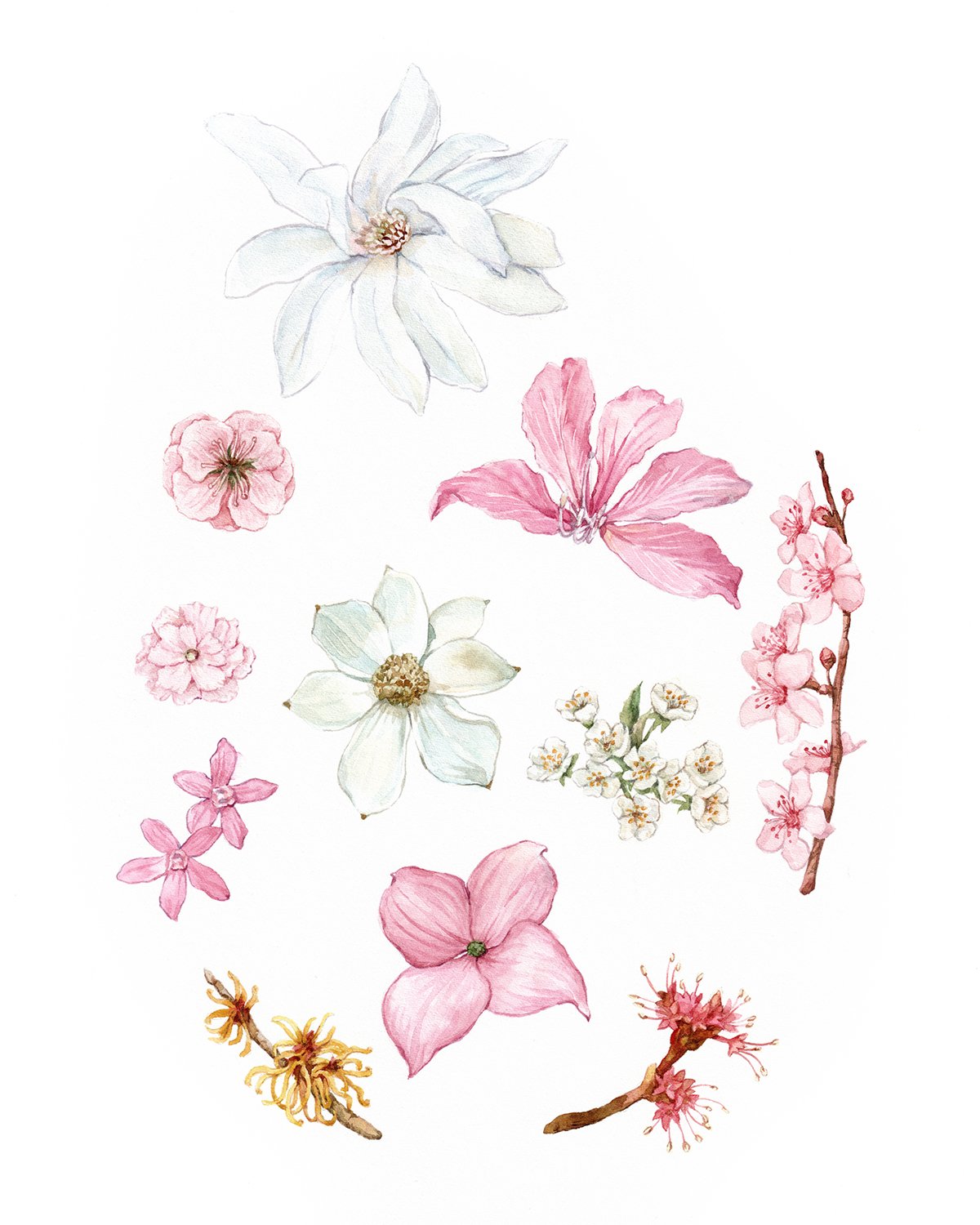 blooming-trees_8x10.jpg