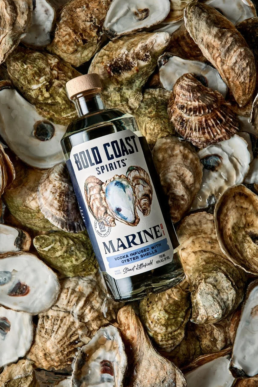 Watercolor oyster shell illustration featured on Bold Coast Spirits packaging, inspired by Atlantic oyster textures and coastal botanical detail