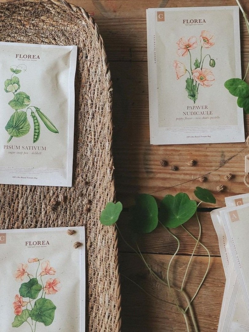 Floral-illustrations-for-seed-packets-by-Anna-Farba.jpg