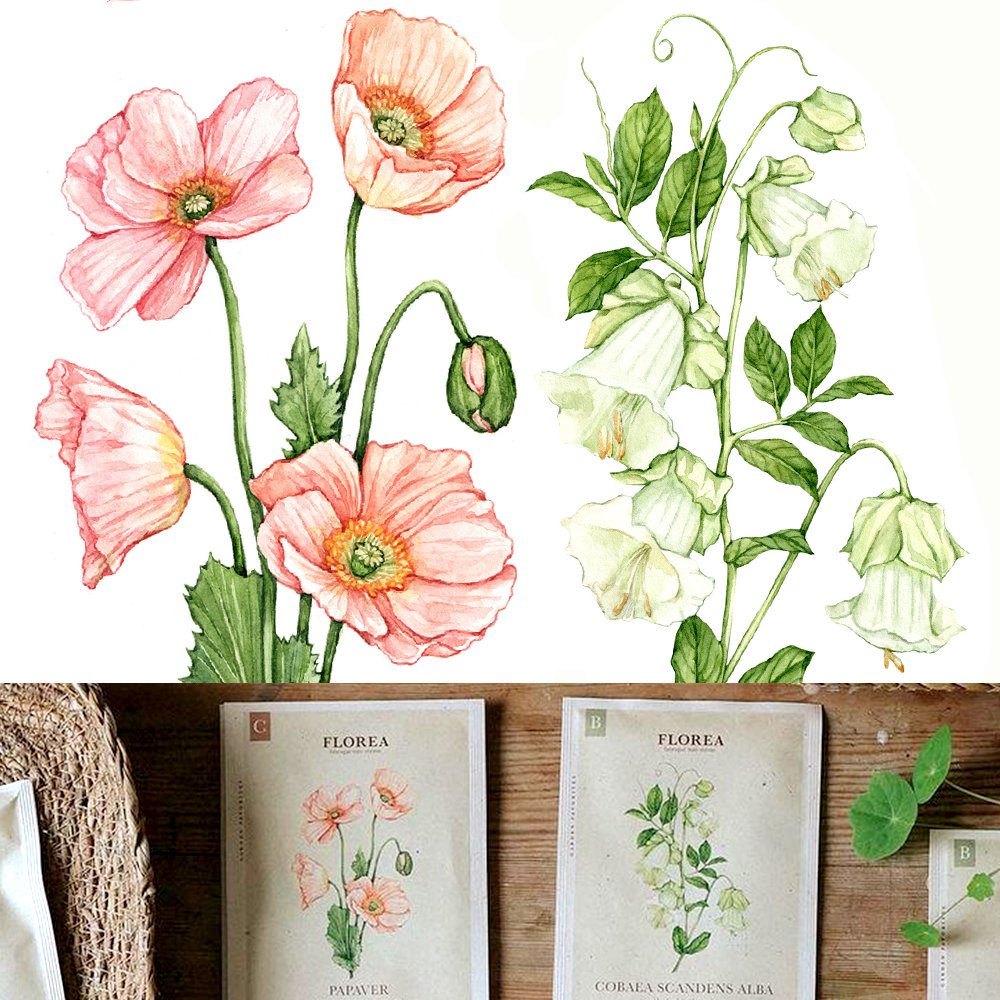 watercolor-flowers-for-packaging-by-Anna-Farba.jpg