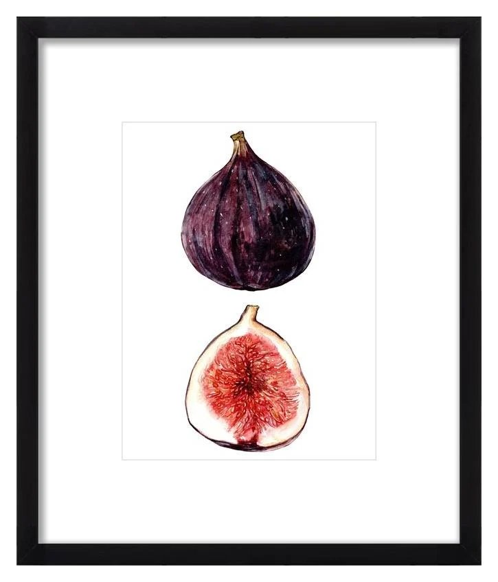 Fig-watercolor-botanical-Wall-Art-by-Anna-Farba.jpg