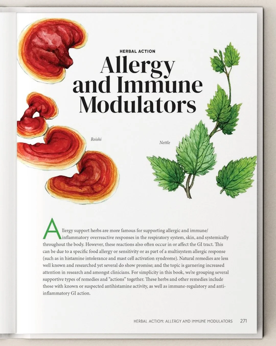 Illustrated book page featuring watercolor botanical illustrations of Reishi mushrooms and Nettle, with accompanying text about their herbal remedies.