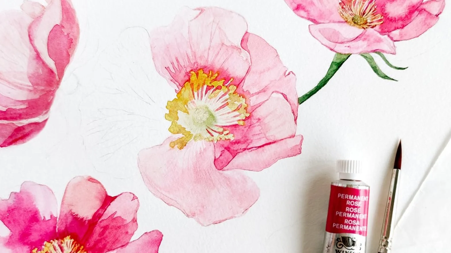 Comparison between scientifically accurate botanical illustration and artistic botanical interpretation