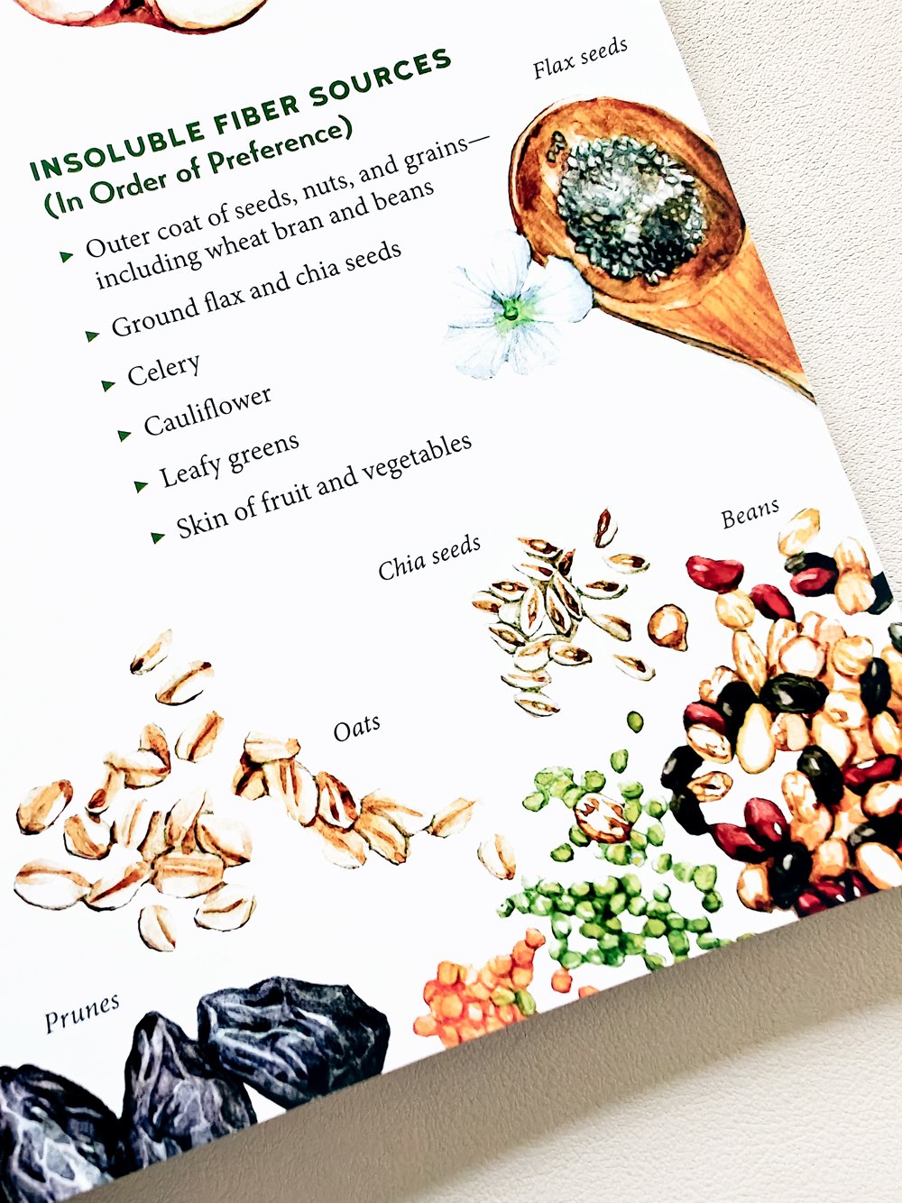 Book page - food illustration of Legumes, Grains, and Seeds, showing rich paint textures
