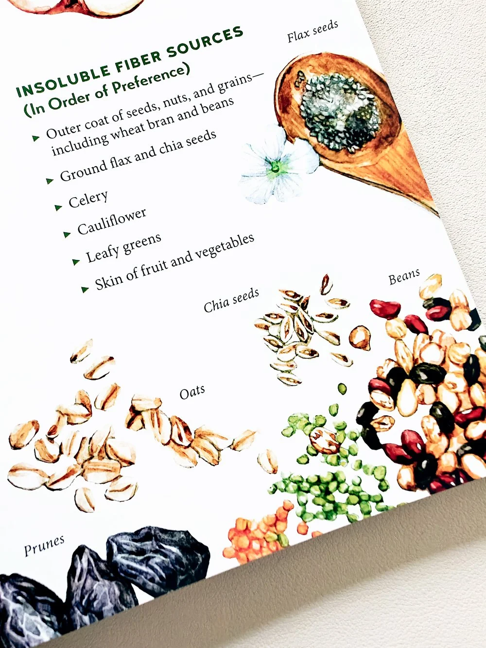 hand-painted food watercolor illustration for Herbal Gut Health