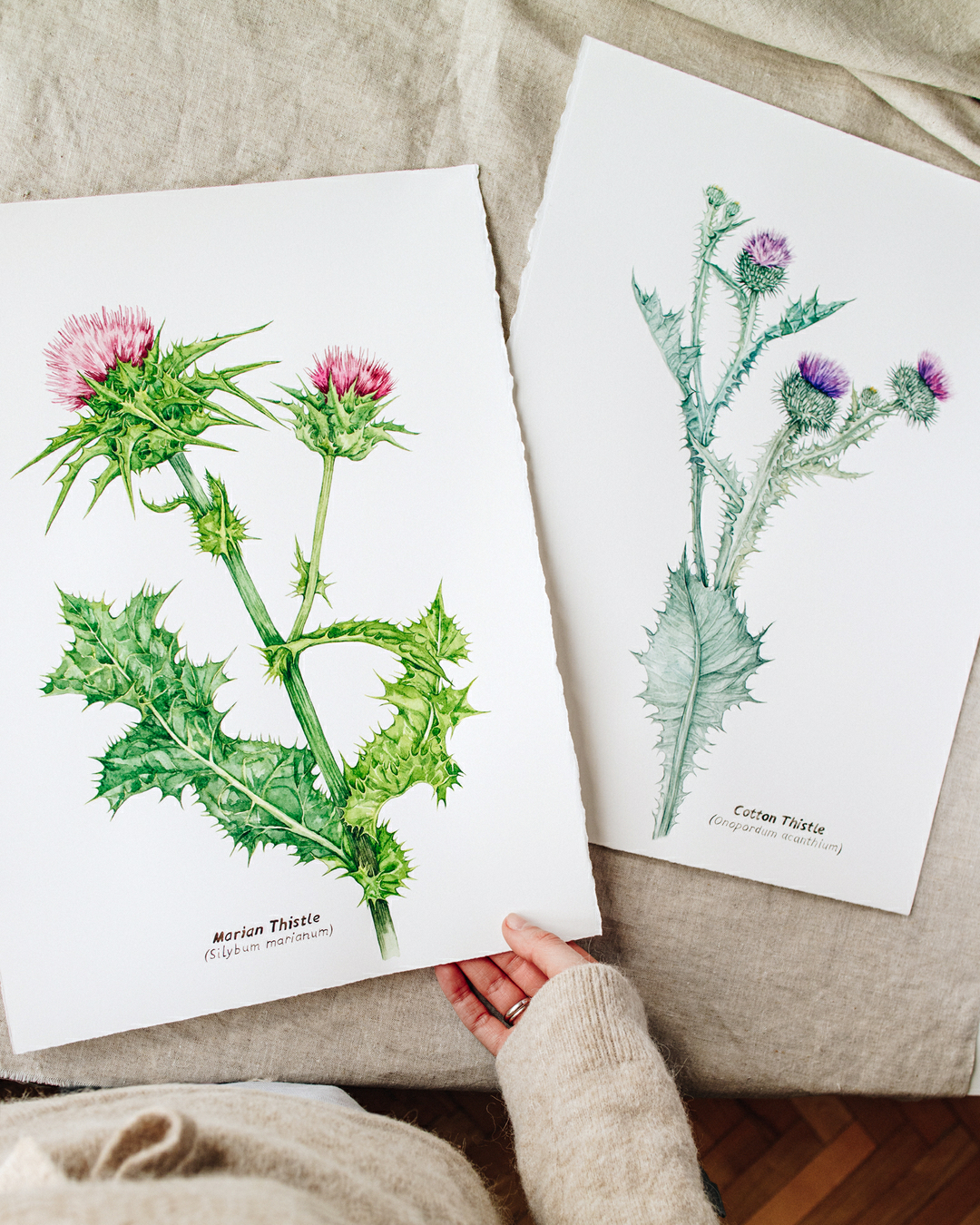 Hand-painted watercolor botanical artwork featuring detailed flowers and natural plant forms