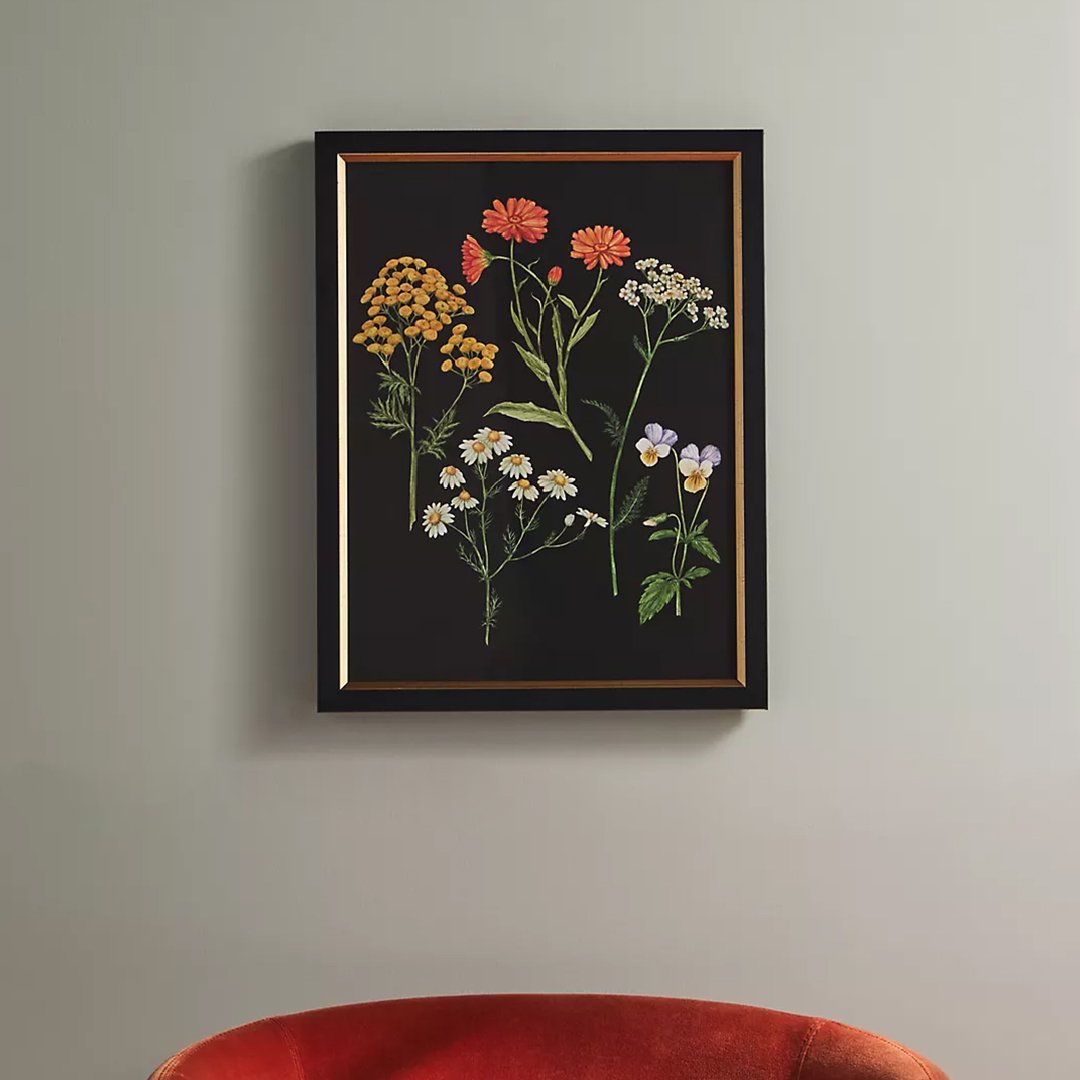 Botanical-Wall-Art-Herbalist-for-Anthropologie-by-Anna-Farba.jpg