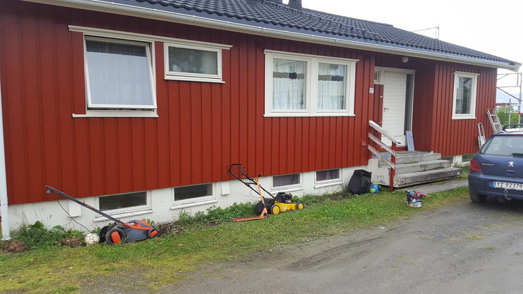 borkenes enslig