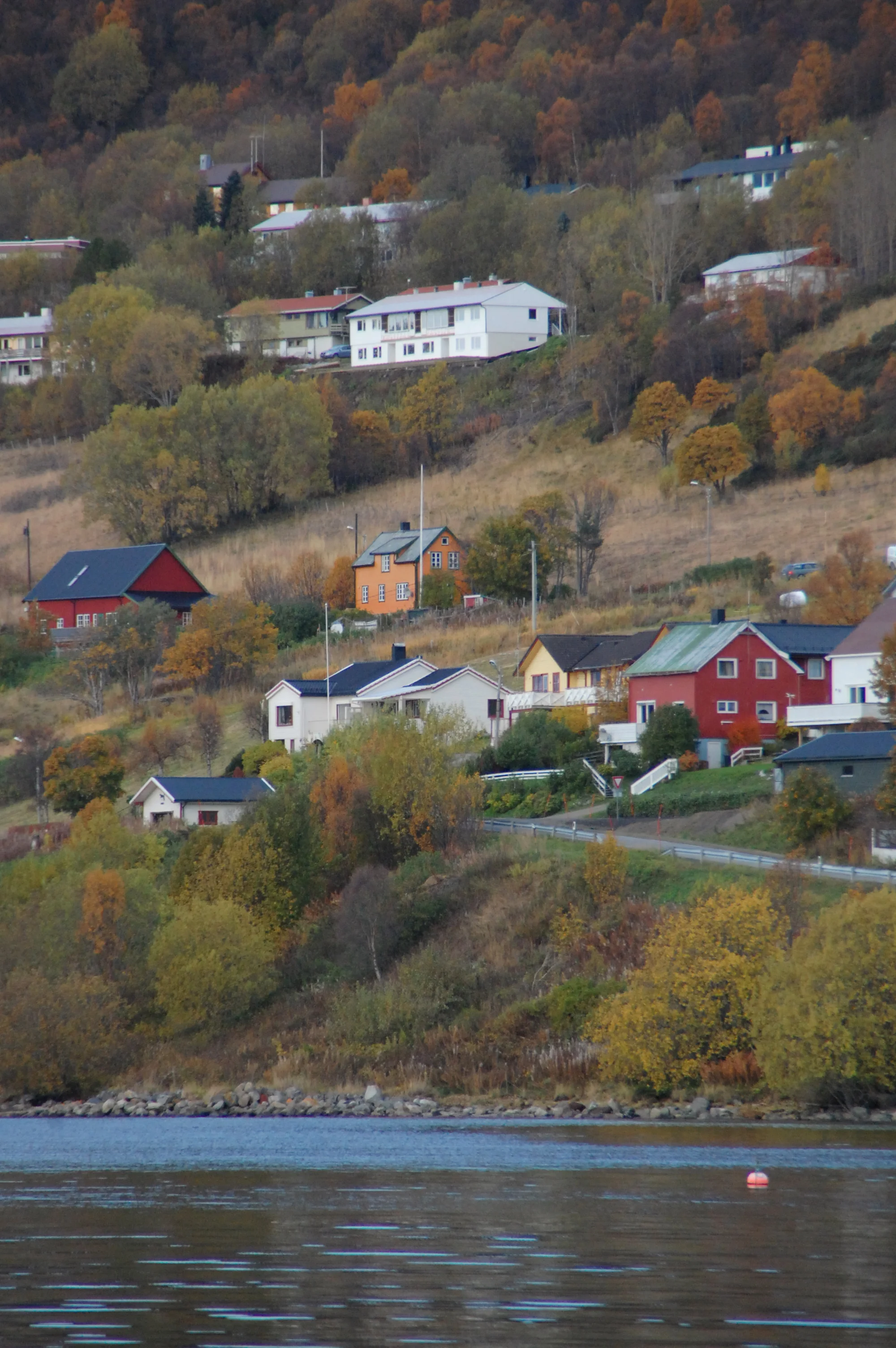 DSC_0658.jpg