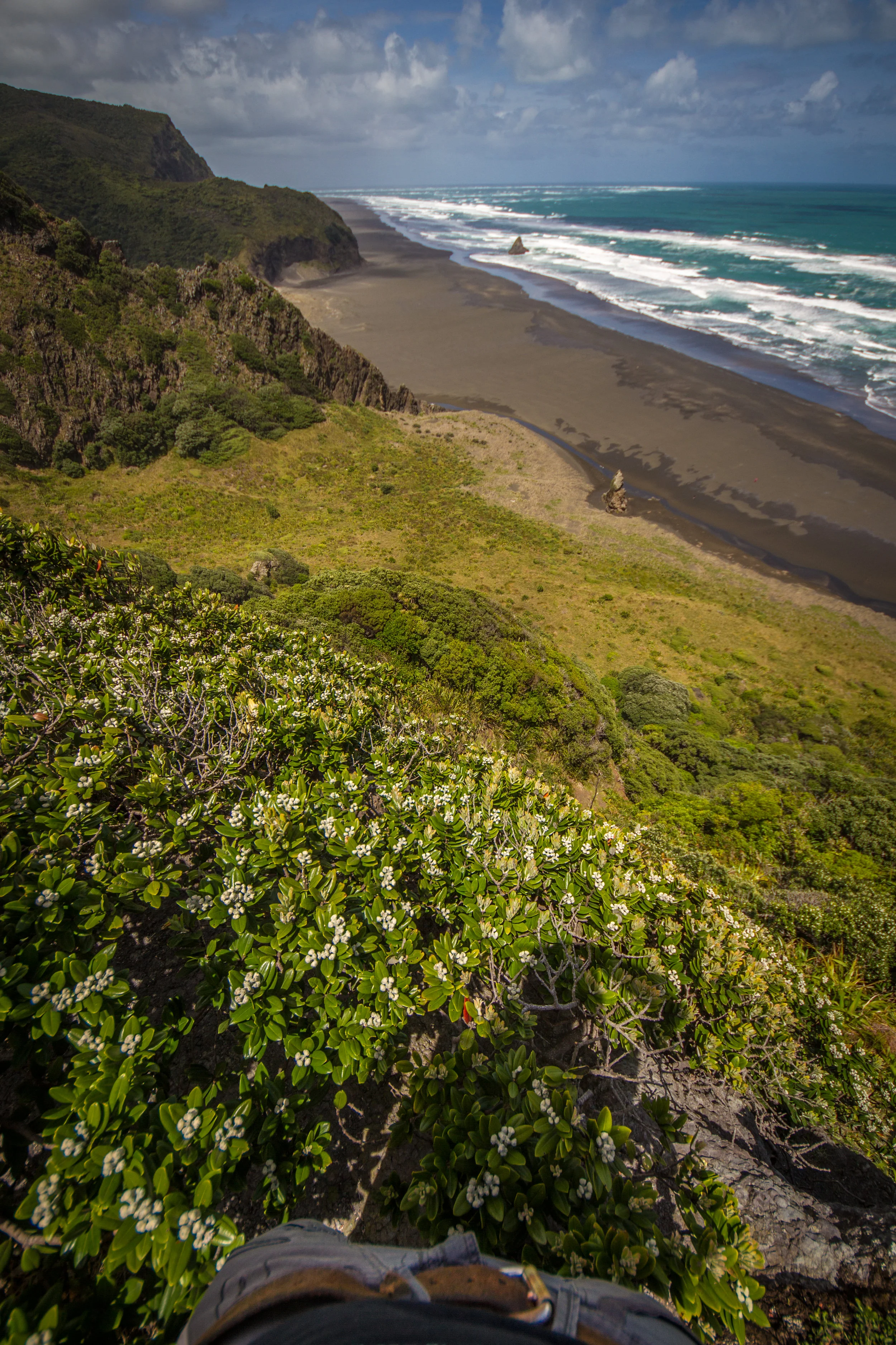 Looking Down into Bethells Beach