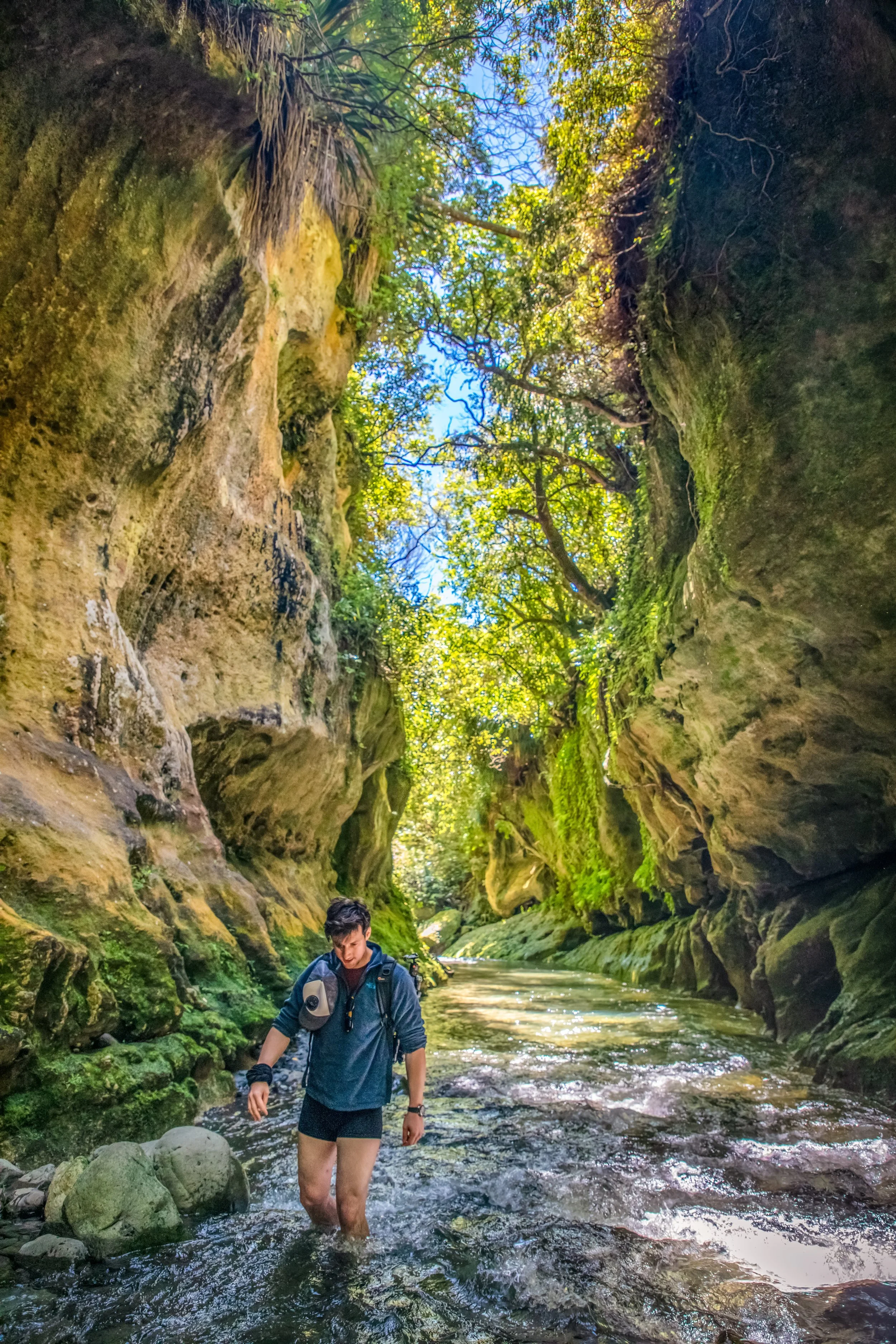 8L4A2498-Edit-Edit.jpg