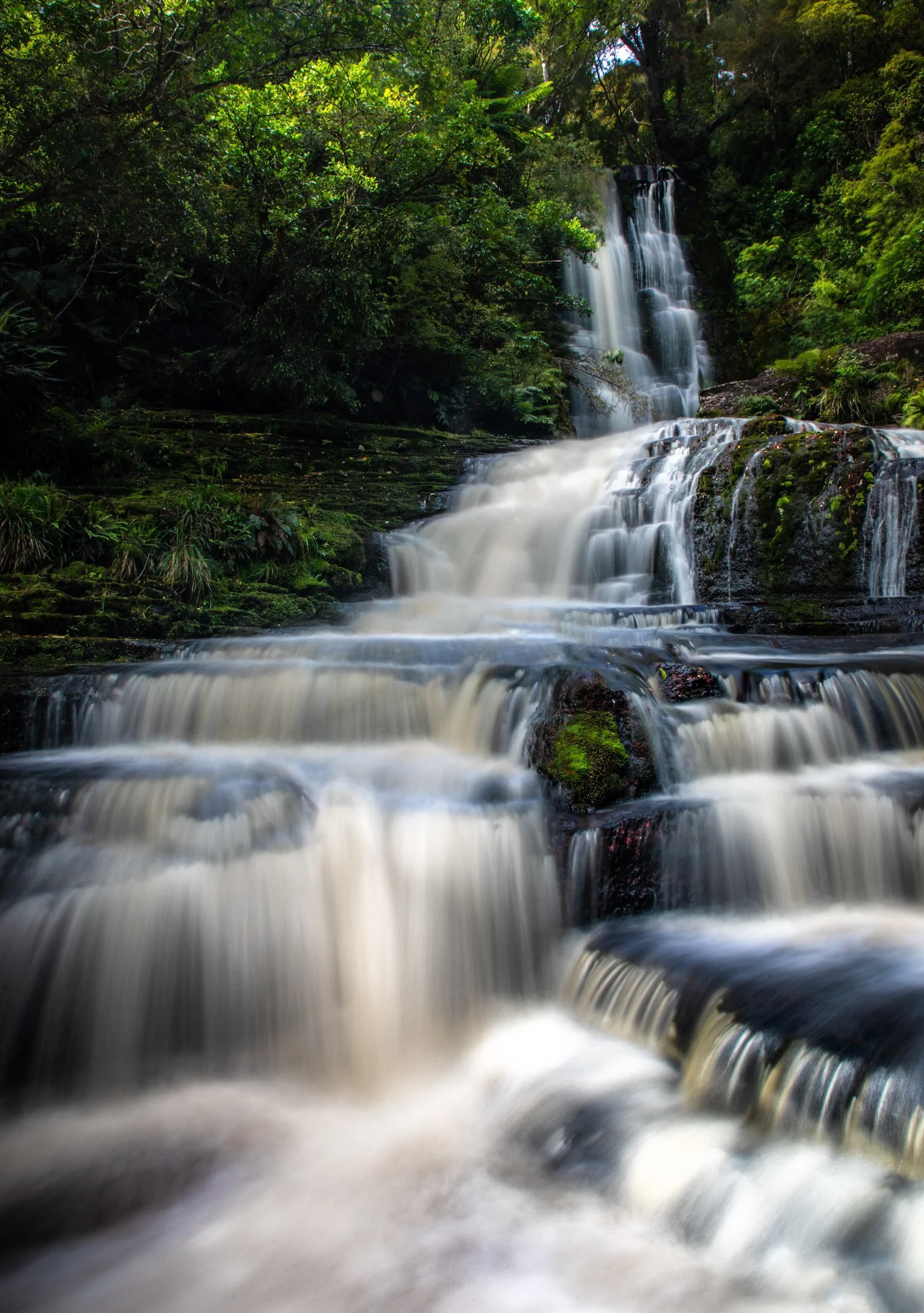 8L4A0324-Edit-Edit.jpg