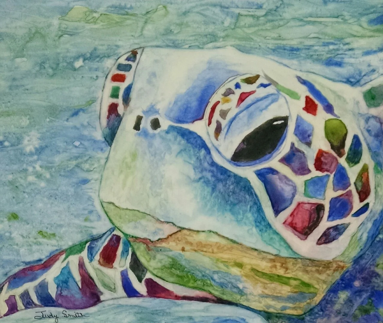 "SAMMY",The Sea Turtle