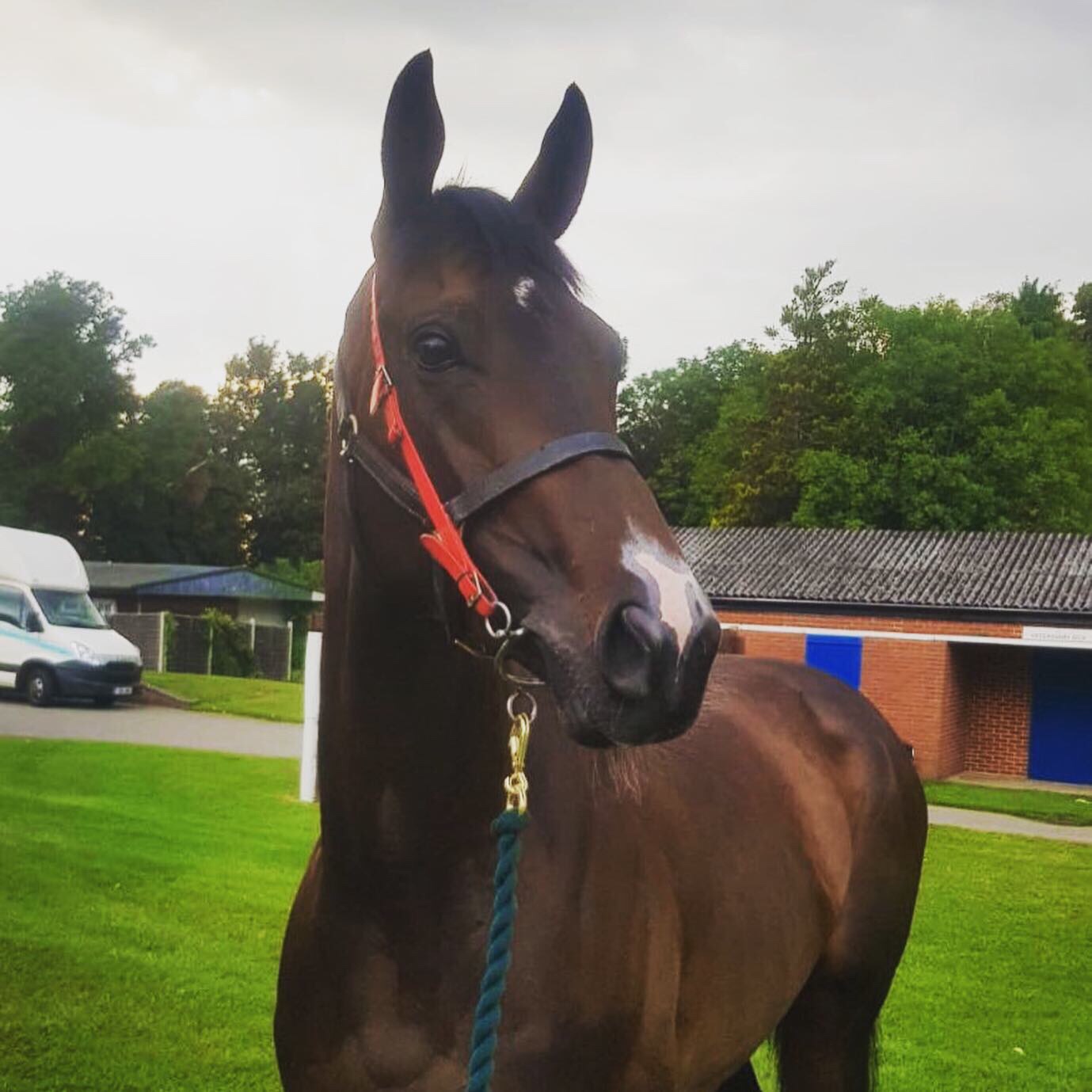 Gendarme at Epsom
