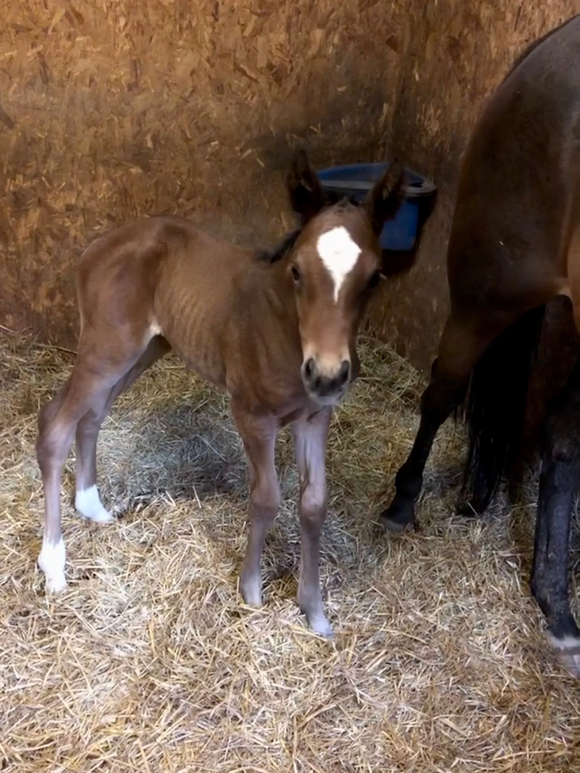 F15BC23D-8B24-4EA5-9187-E8FB3DED1D51