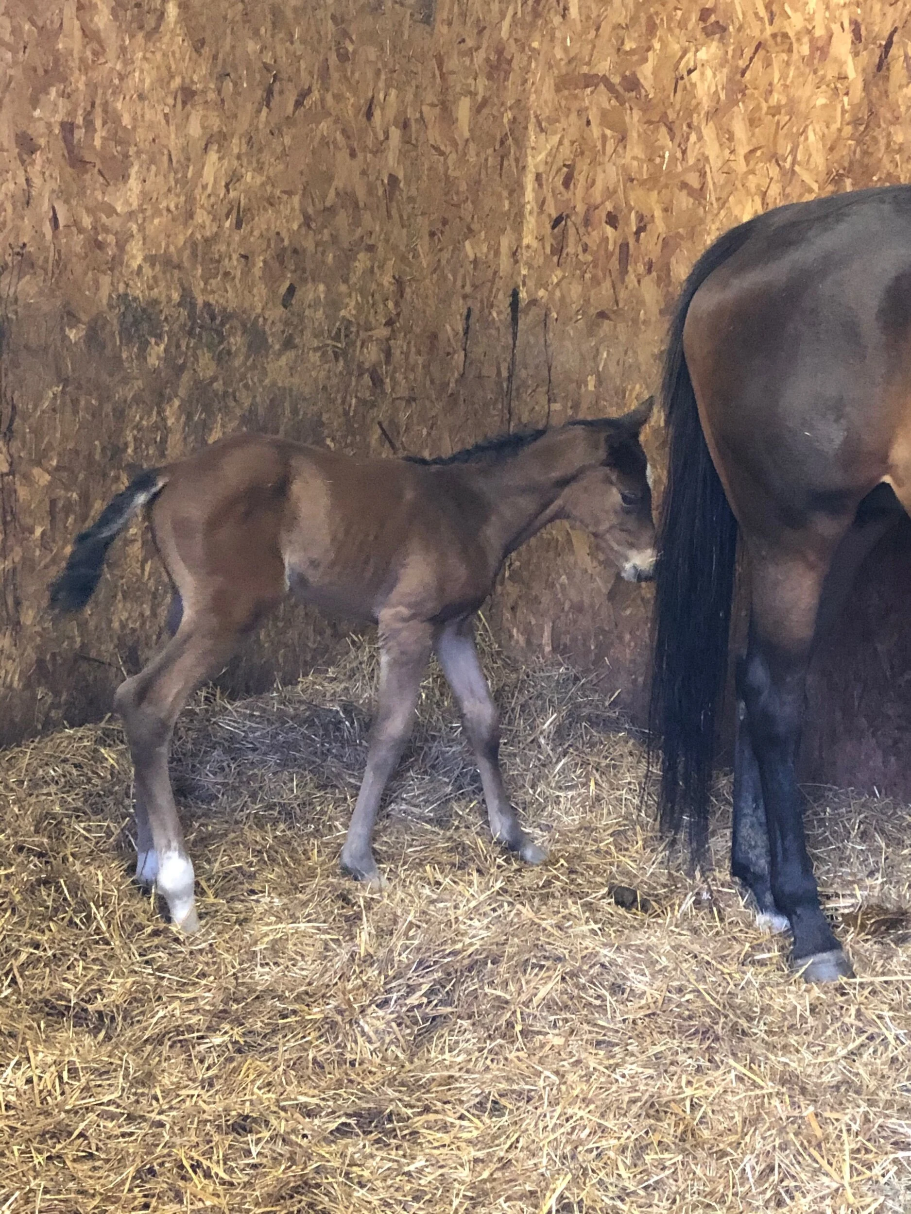 5FBEE0FF-3BB5-4849-8243-CBC0F5AC27D5