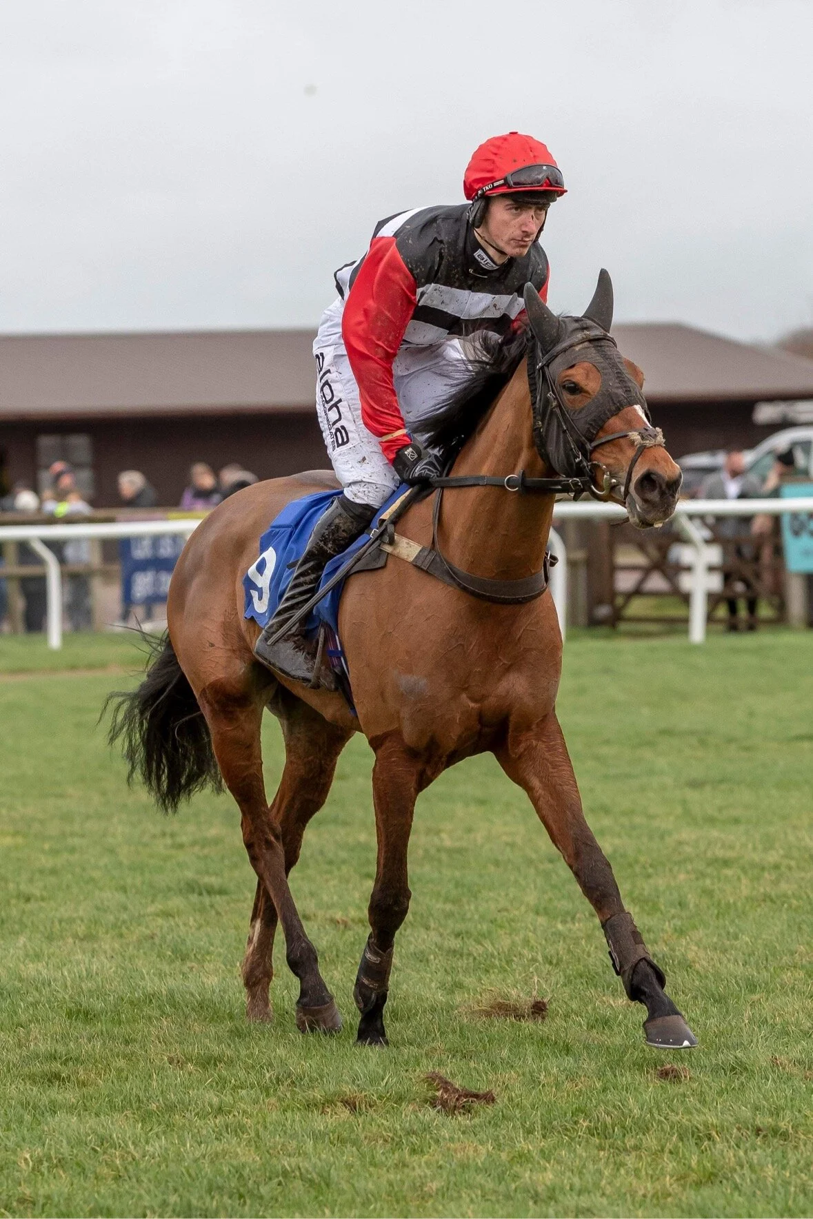 CF833DE6-3839-4E95-A707-0A0CDC03A43F