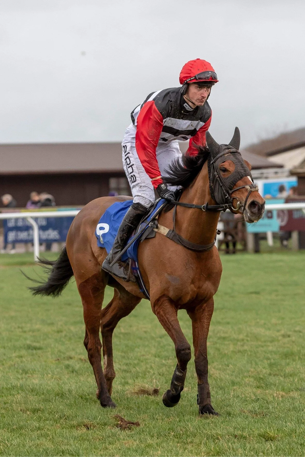 33AC595E-8158-4FC1-820C-458C041C7241