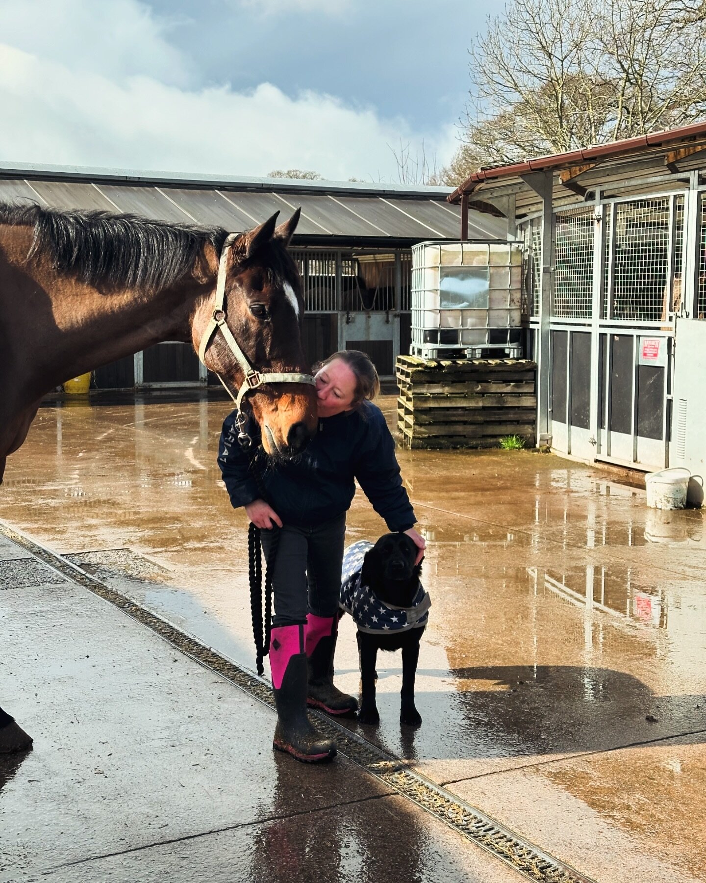 Sausalito Sunrise, Nicky and Mo💕
The weather has not been the kindest to the team this last week but they have cracked on with getting the yard done and horses exercised, Well Done‼️

#teamdunn #alexdunn #getinvolved #racehorses #westbuckland #somer