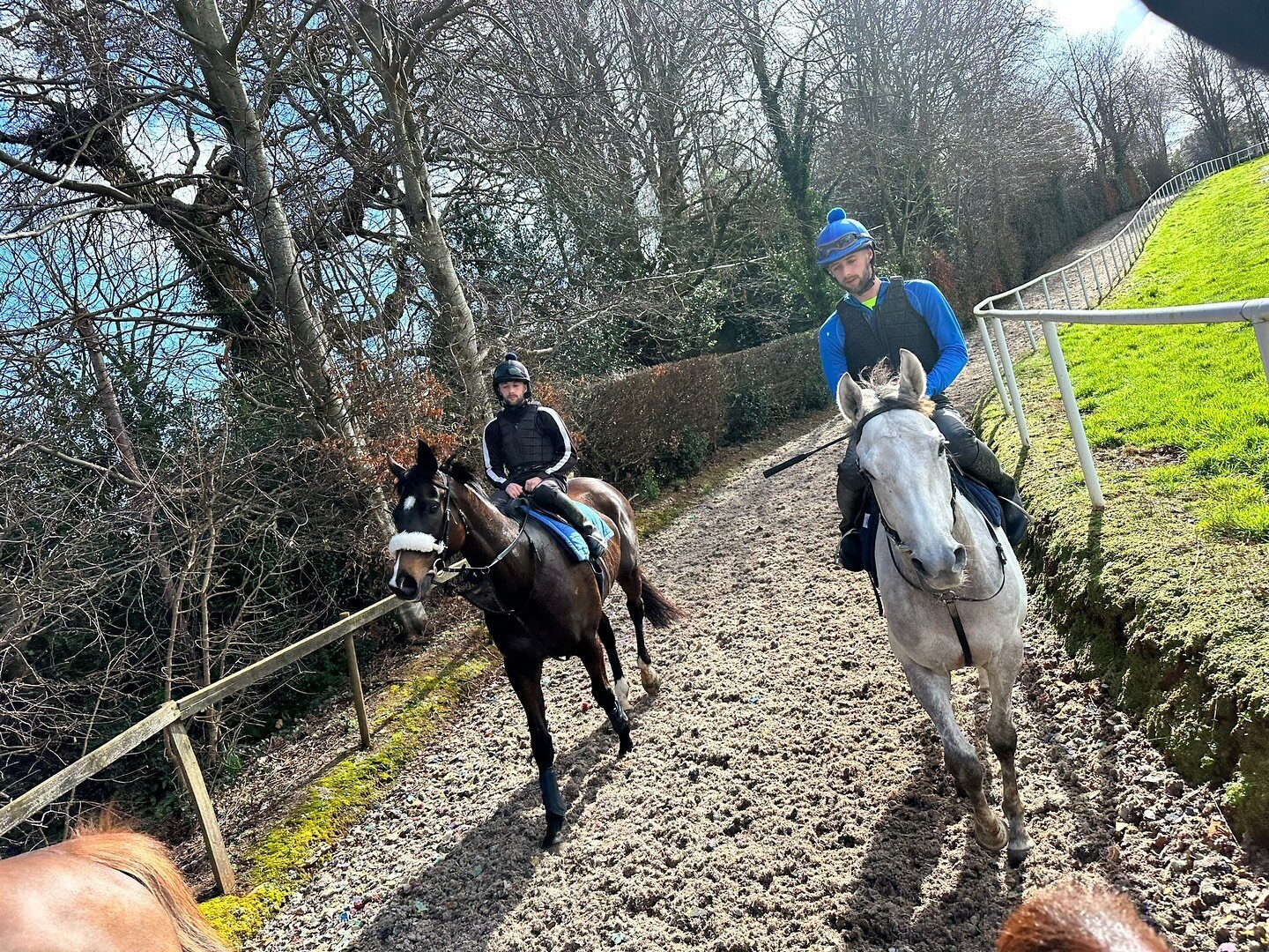 ESTATE ITALIANA AND DEMILION🐎🐎
Some of the team were lucky enough to take 4 of our horses for an away gallop today to freshen them up with a new change of scenery. 

#awayday #teamdunn #racehorses #thoroughbreds #getinvolved #chester #westbuckland 