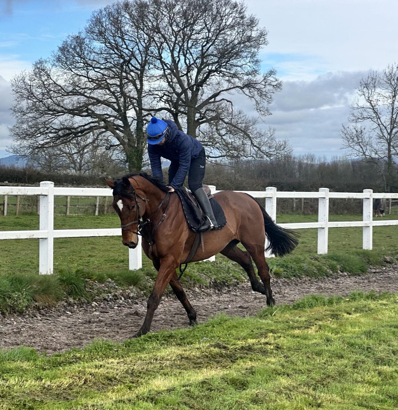 3rd lot Tuesday.  Work rider Liam doing a cracking job getting the horses going well.