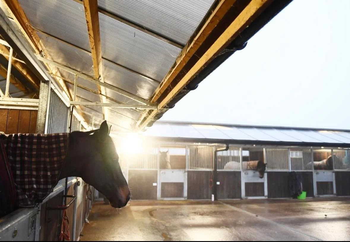 Feeling Winter is here!!! Frosty mornings have started in earnest  #horsetrainer #horseracing #racinglife #morningmotivation #morningvibes #wintervibes #winter #winterseason  #2026