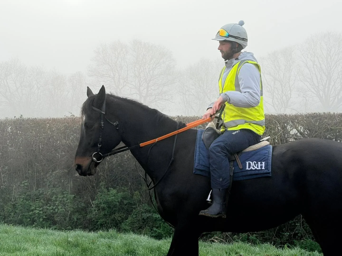 Instant Gambler  #horsesofinstagram #morningmotivation #horsetrainer #teamdunn #racehorse #horsepower #racinglife