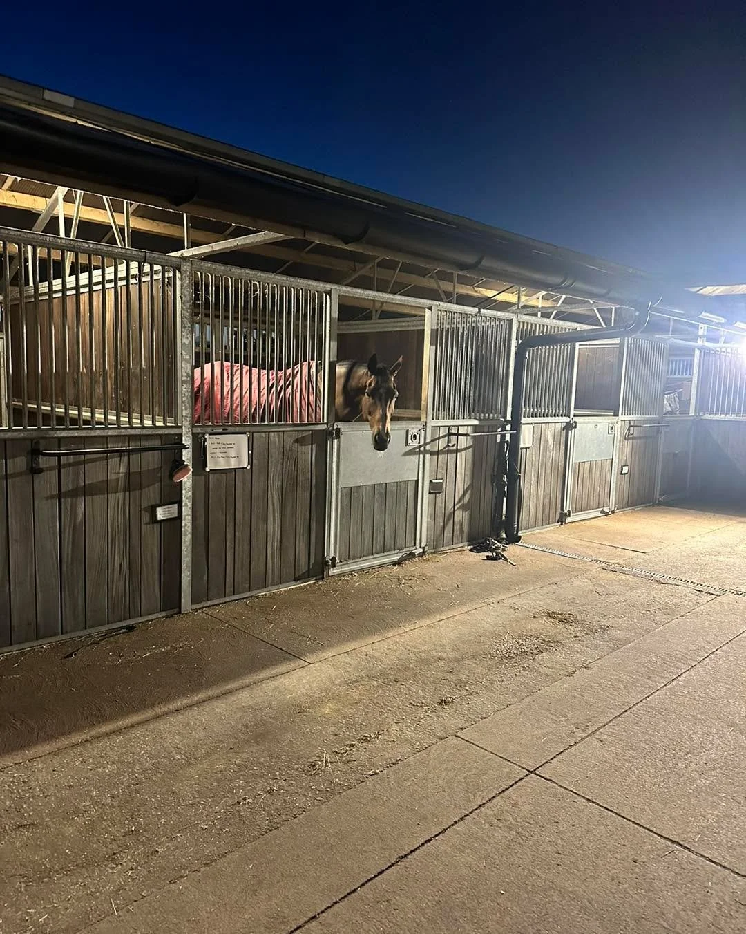 Early bird catches the worm!!! #horsetrainer #racehorse #racinglife #teamdunn #morningmotivation