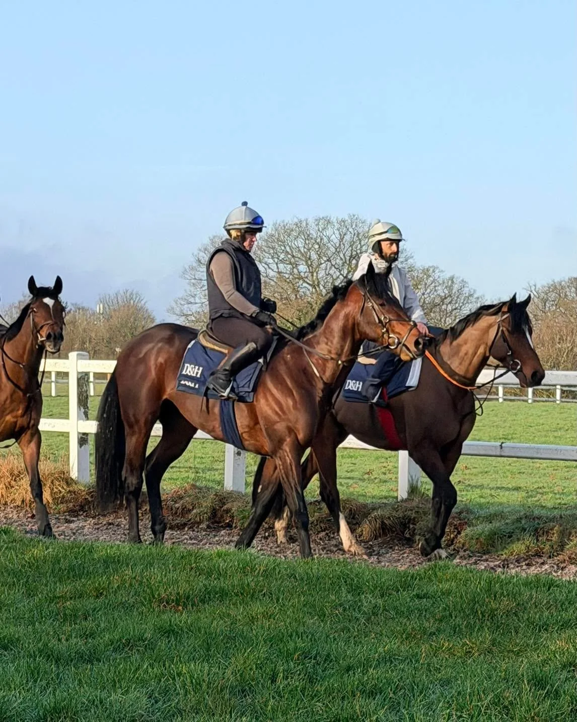 Lovely morning with sunshine ☀️. #racehorse #teamdunn #horsesofinstagram #horseracing #horsepower #horsetrainer #morningmotivation