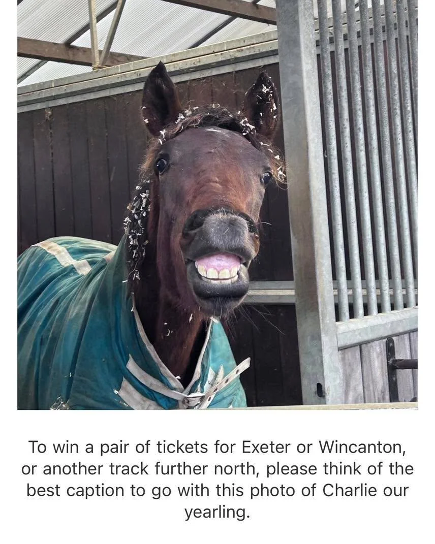 Competition:  Name the best caption for this picture of Charlie our yearling.  Competition closes 31.01.2026.  #teamdunn