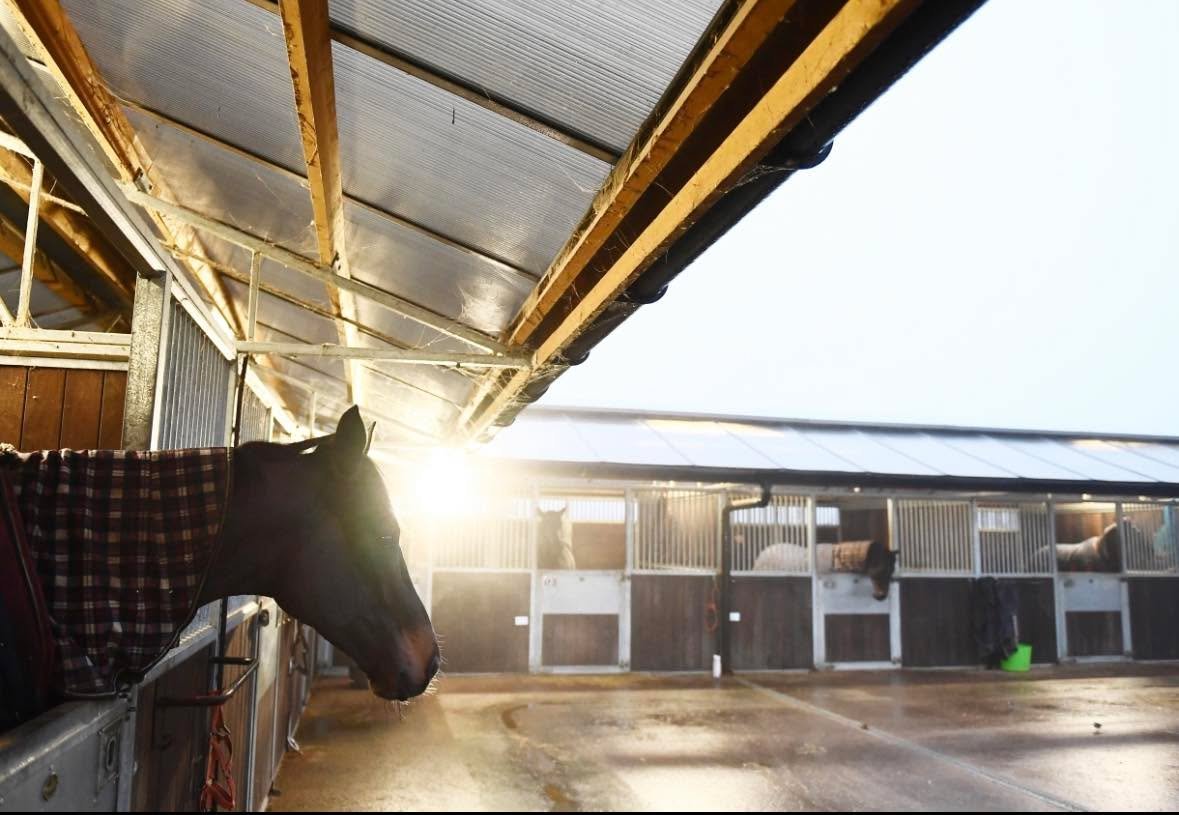 Feeling Winter is here!!! Frosty mornings have started in earnest  #horsetrainer #horseracing #racinglife #morningmotivation #morningvibes #wintervibes #winter #winterseason  #2026