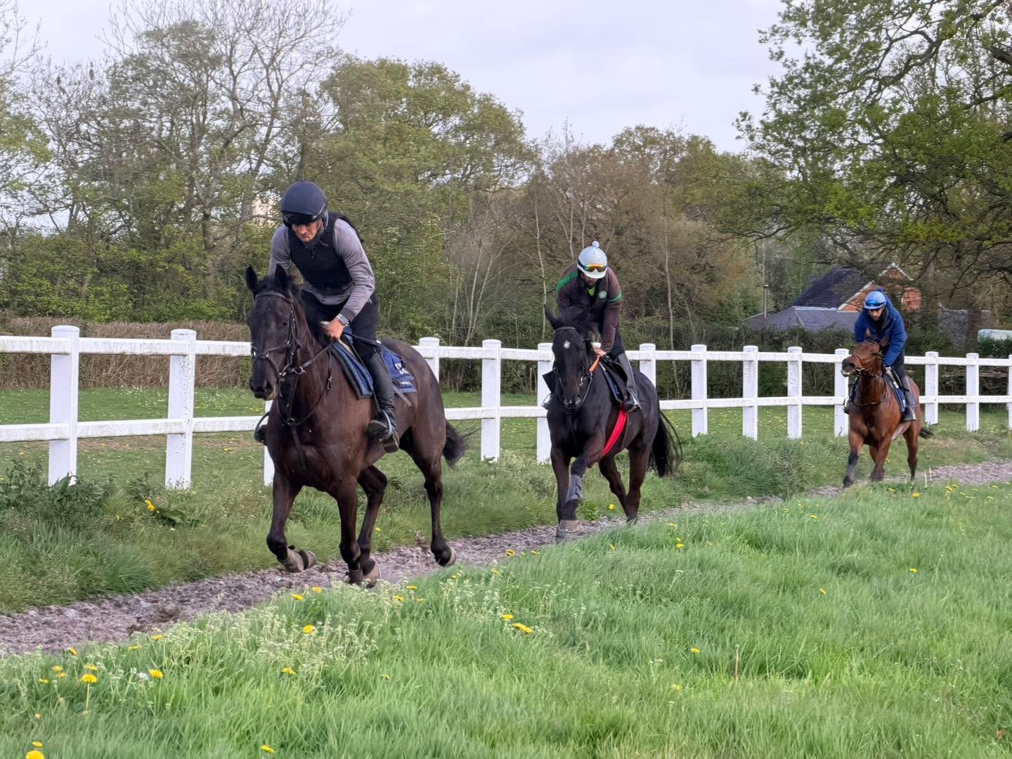 Springs here and the horses are looking superb  #racehorse #racinglife #horsesofinstagram #horsepower #teamdunn #horsetrainer #horseracing #morningmotivation