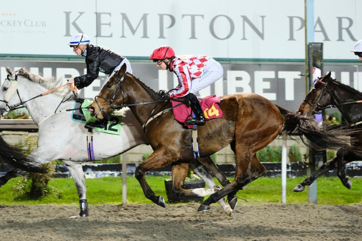 Our Horses — A | D Racing