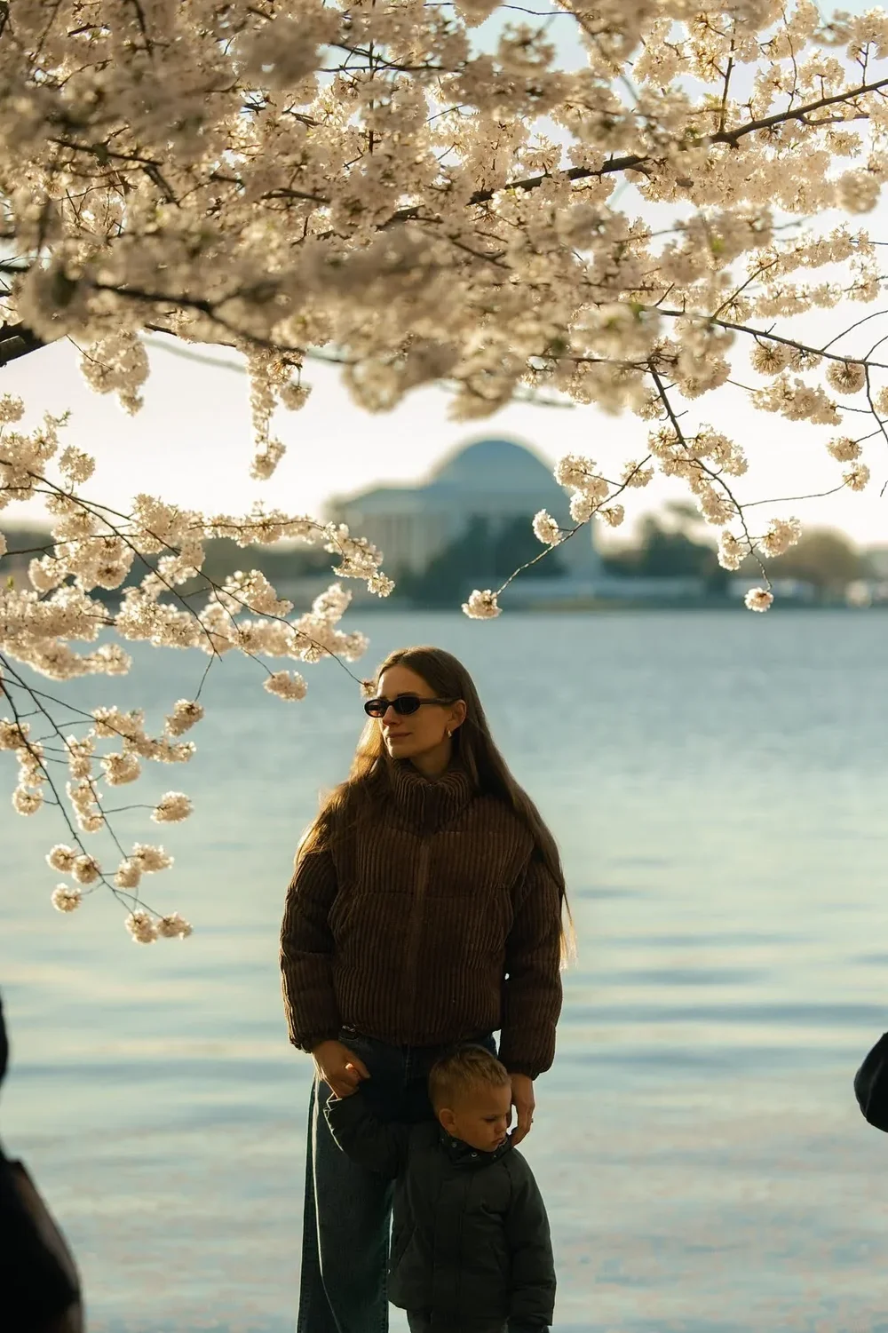 Woman cherry blossoms tidal basin portrait washington DC