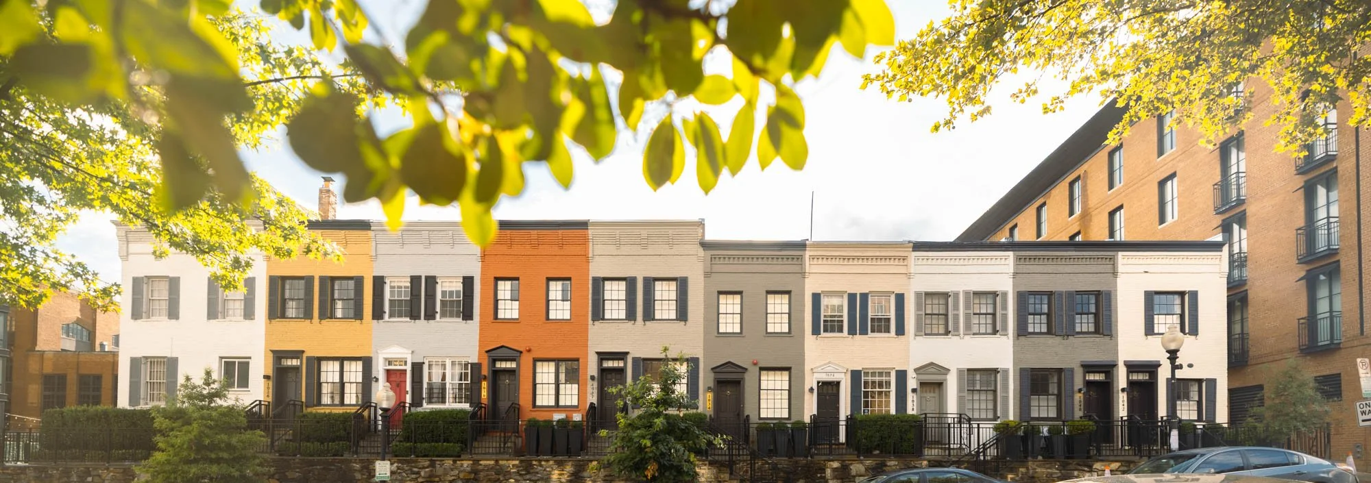 Colorful row of townhouses viewed from street, with leaves in the foreground and trees on either side.
