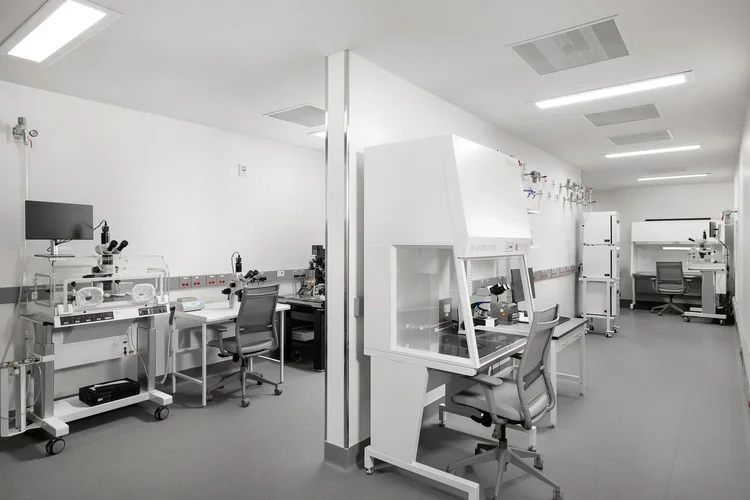 Interior of CCRM Fertility, a Perkins&Will-designed healthcare facility in Greenville, SC — healthcare architecture photography by Jack Robert.