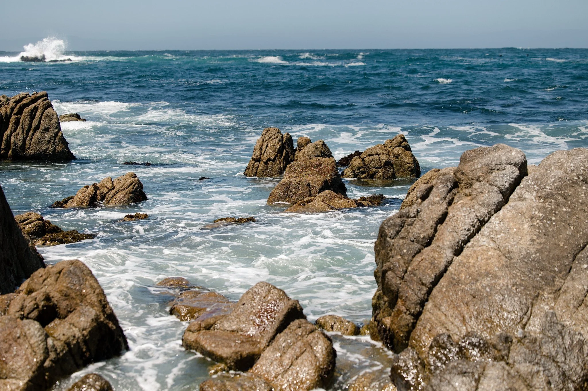 monterey-bay-rocky-shoreline-surf_d.jpg