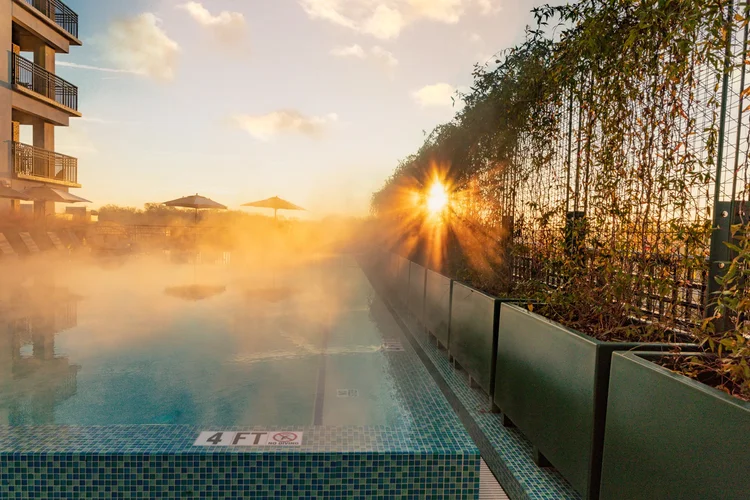 A rooftop swimming pool at sunrise with steam rising from the water, surrounded by lounge chairs and umbrellas, with the sun shining through a fence covered in vines.