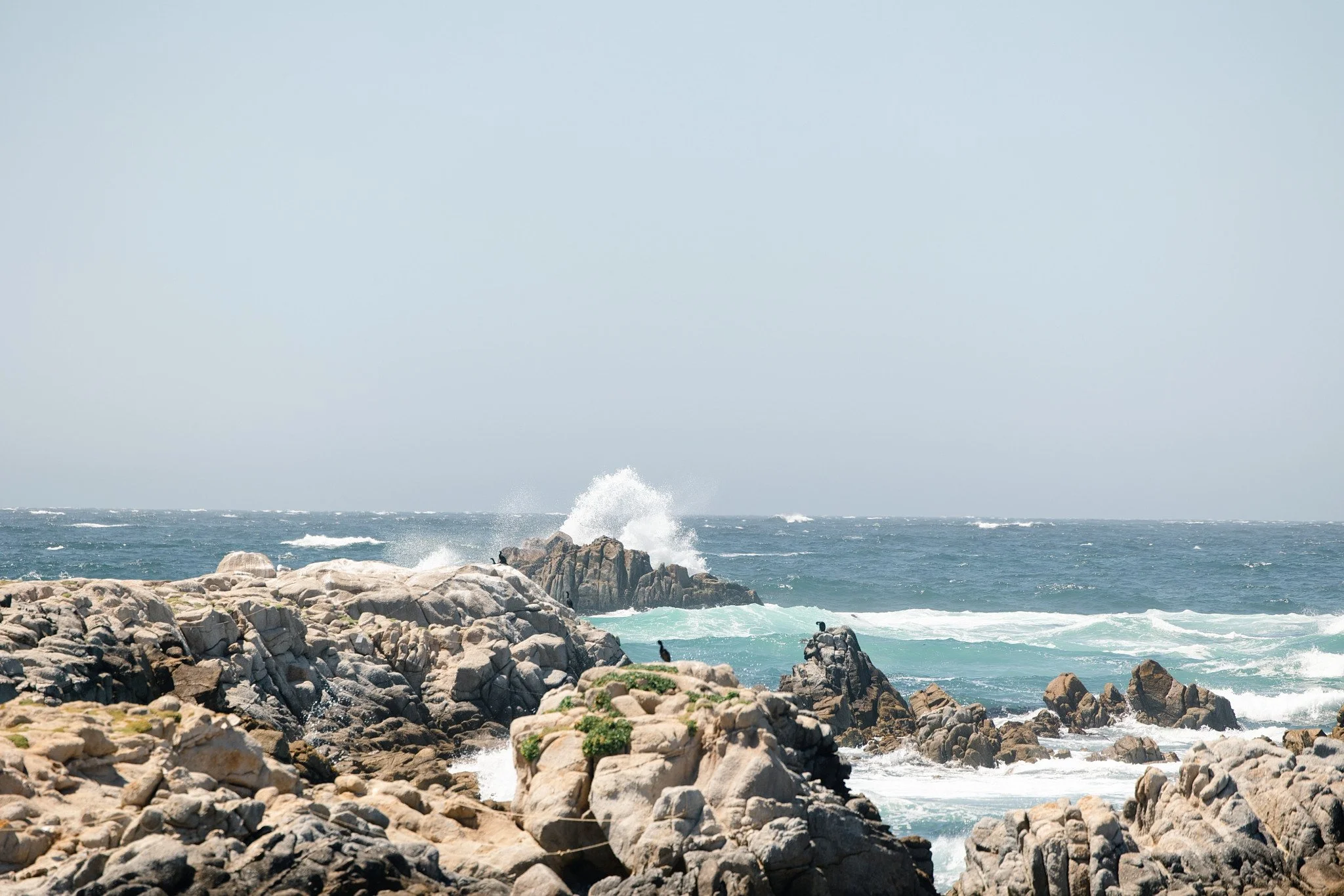 monterey-bay-coastline-waves-rocks_d.jpg
