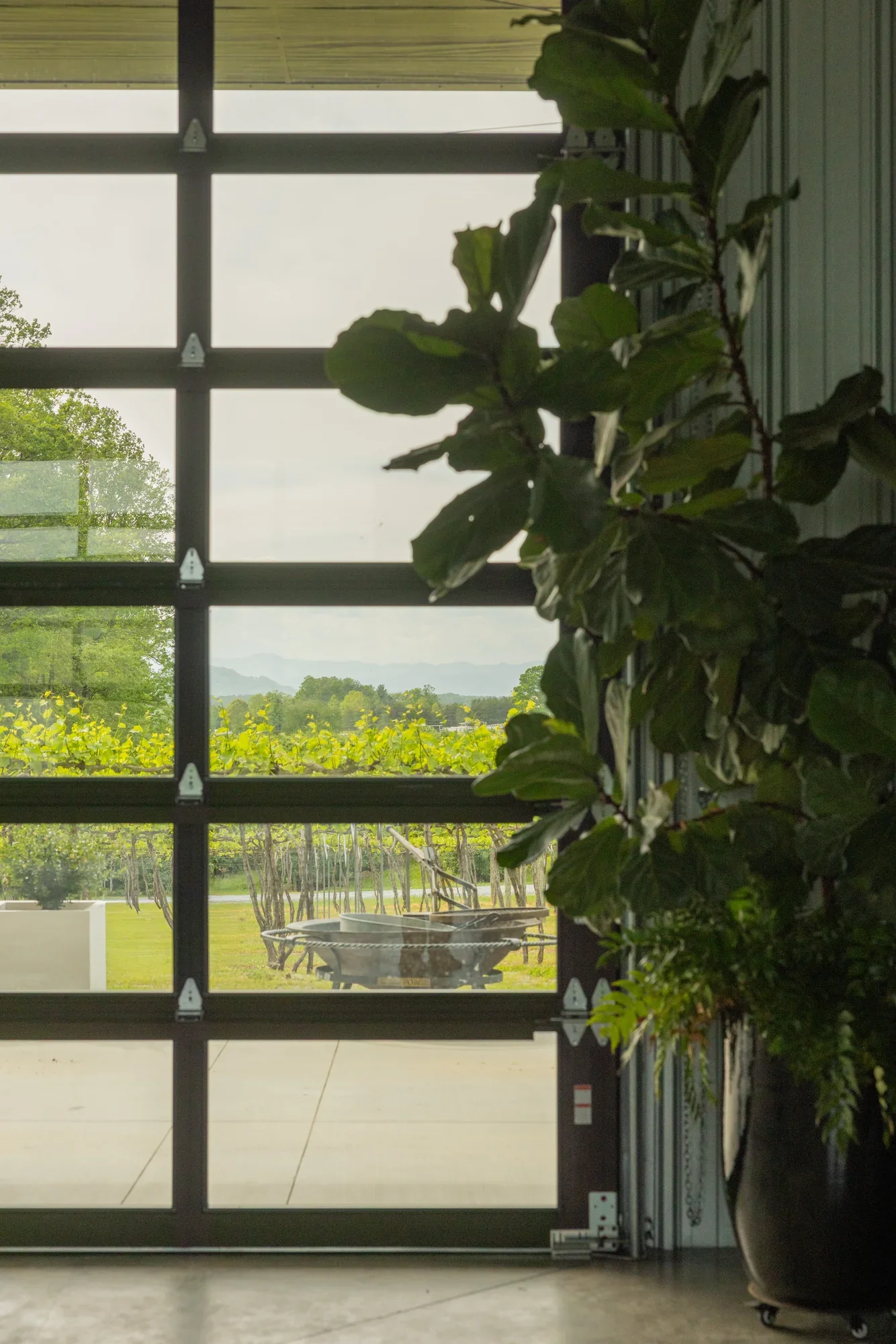 Marked Tree Vineyard, built by Cooper Construction — finished-project photography by Jack Robert.