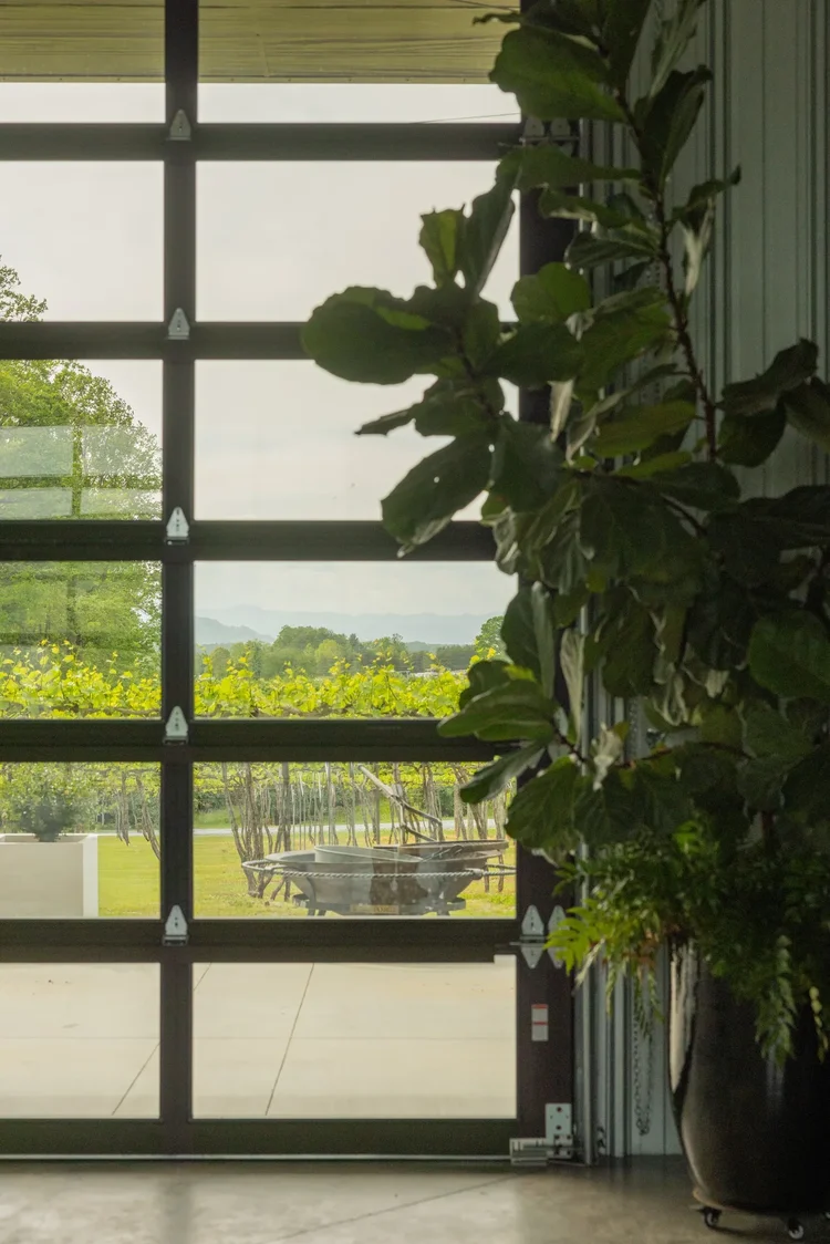 Marked Tree Vineyard, built by Cooper Construction — hospitality architecture photography by Jack Robert.