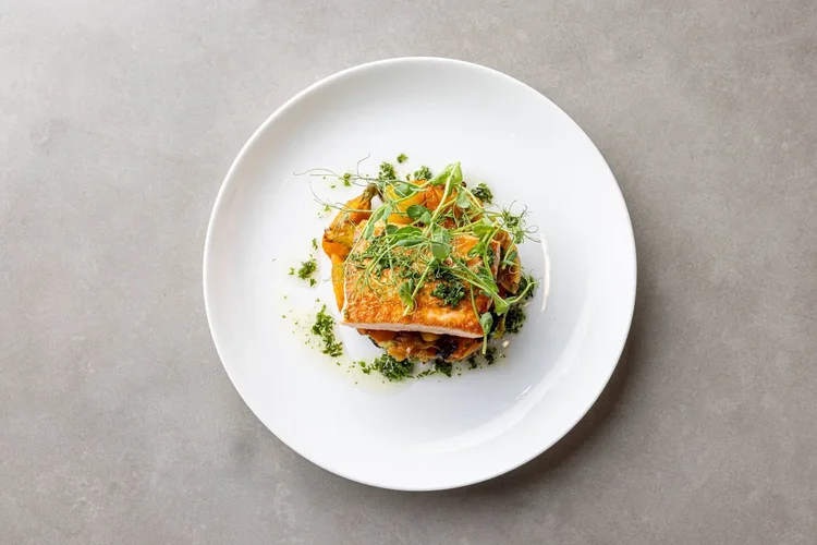 Fine dining plated seafood restaurant photography in Greenville SC by Jack Robert Photo