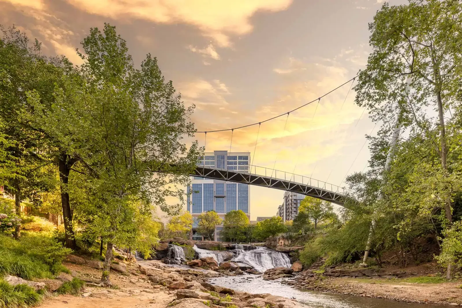 greenville-suspension-bridge-modern-architecture-1600px.webp