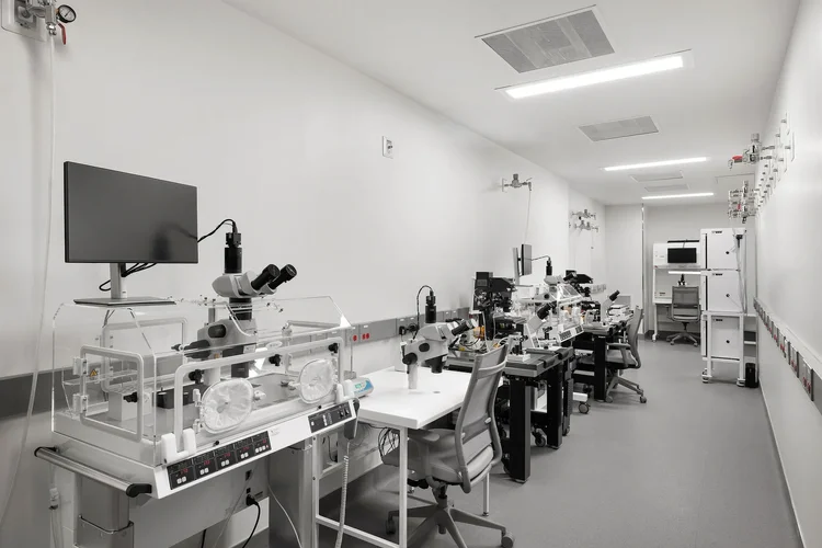 Interior of CCRM Fertility, a Perkins&Will-designed healthcare facility in Greenville, SC — healthcare architecture photography by Jack Robert.