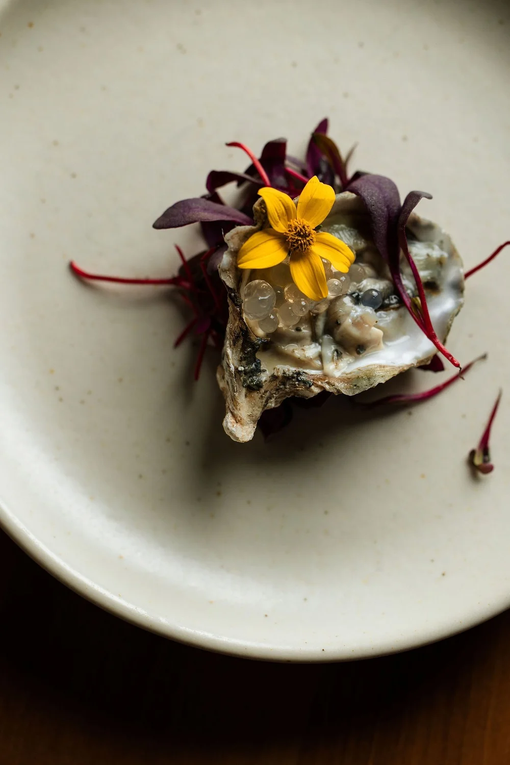 Trailborn highlands restaurant oyster plating highlands NC