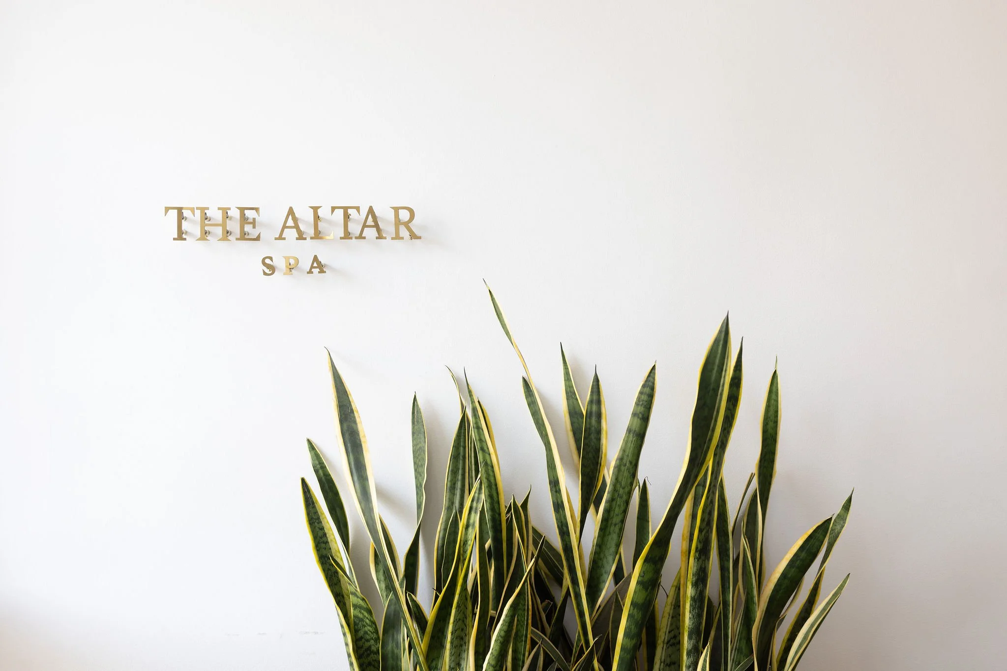A white wall with gold letters spelling "THE ALTAR SPA" and a green leafy plant with yellow edges in the foreground.